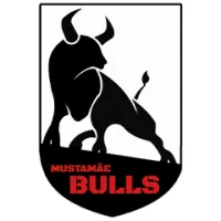 Mustamae Bulls Team Flag