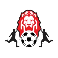 Leverkusen Flag