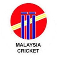 Malaysian Tigers Team Flag