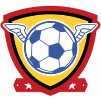 Brisbane City Team Flag
