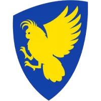 Act Comets Team Flag