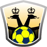 Mts Team Flag