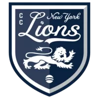 New York Lions Cc Team Flag