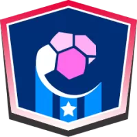 Hammarby Women Team Flag