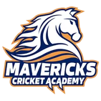Mavericks Academy Team Flag