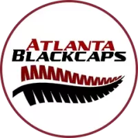 Atlanta Blackcaps Team Flag