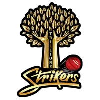 Trillions System Ltd Strikers Team Flag