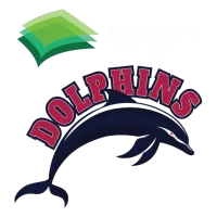 Engro Dolphins Team Flag