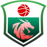 Dragon Oil Team Flag