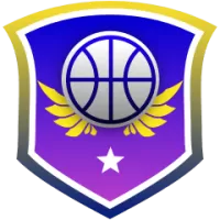 Burgut Team Flag