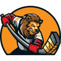 Vizag Team Flag
