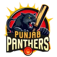 About Punjab Panthers Team