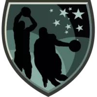 Team C Team Flag