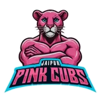 Jaipur Pink Cubs Team Flag