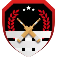 Pint Cricket Club Flag