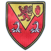 Lisburn Team Flag