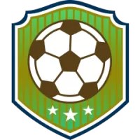 Fc Motown Team Flag