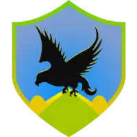 Ud Tenerife Team Flag