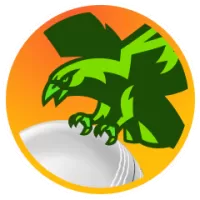 South Women Team Flag