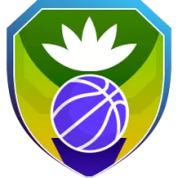 Riesen Ludwigsburg Team Flag
