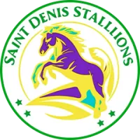 Saint Denis Stallions Team Flag