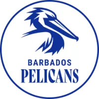 Barbados Pelicans Team Flag