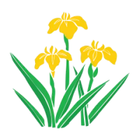 Glamorgan-Women Flag