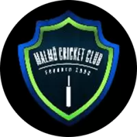 Malmo Team Flag