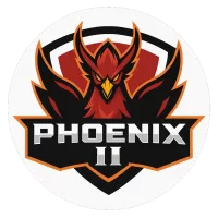 Phoenix Team Flag