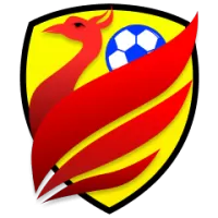 Aau Team Flag