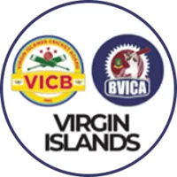Virgin Islands Team Flag