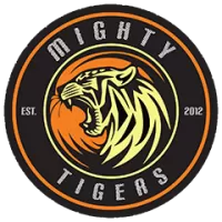 About Mighty Tigers Team