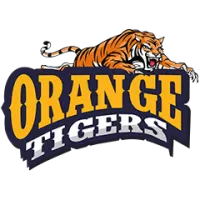 Orange Tigers Team Flag
