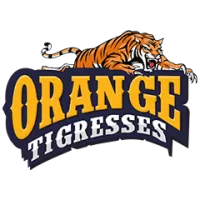Orange Tigersses Women Team Flag