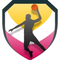 Ratiopharm Ulm Team Flag