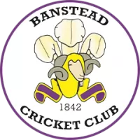 Banstead Team Flag