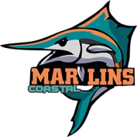Marlins Team Flag