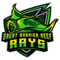 Rays Team Flag