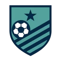 Avondale Fc Team Flag