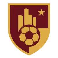 Detroit City Fc Team Flag