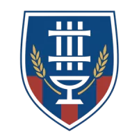 Ghazl El Mahalla Team Flag