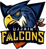 Ujjain Falcons Flag