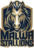 Malwa Stallions Flag