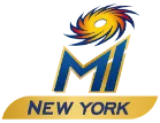 MI New York Flag