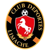 Deportes Limache Flag