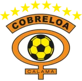 Cobreloa Flag