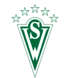 Santiago Wanderers Flag