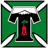 Deportes Temuco Flag