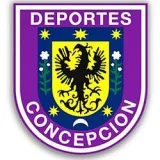 Deportes Concepción Flag