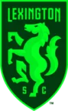 Lexington Sc Team Flag